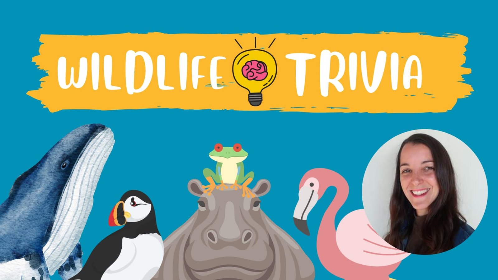 Cover image of class : wildlife trivia time